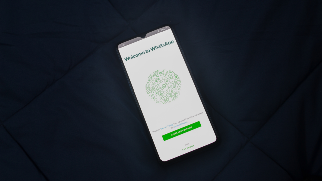 Kabar WhatsApp Pagi Ini Mana yang Beneran, Mana yang Hoaks Yuk Bedain